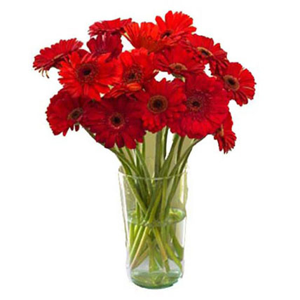 Red Gerbera Vase (18 Flower)