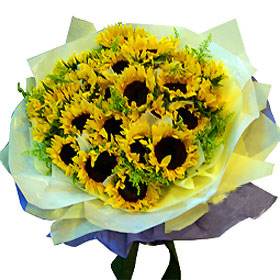 Sunlight Garden (Normal)
