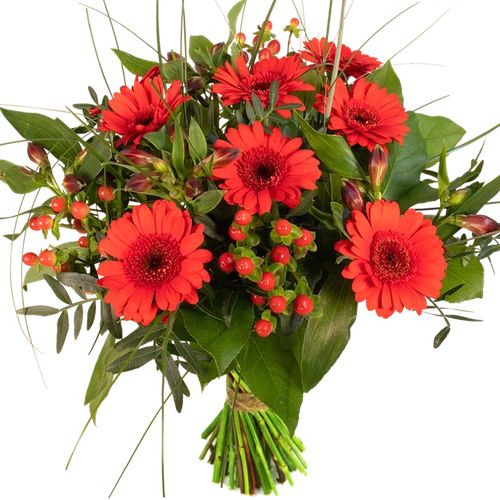 Advantage bouquet red (Advantage bouquet small red)
