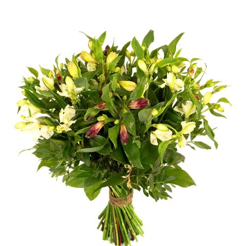 Alstroemeria bouquet (Bouquet of small mixed alstroemerias and various foliage)
