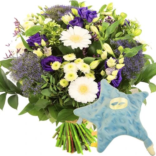 Boy bouquet + star comfort blanket (Birth bouquet + star pacifier comfort blanket)