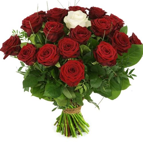 Red roses + a white rose Determine the number yourself... (The box contains 10 pink and white materials.)