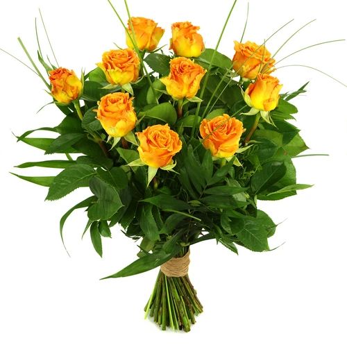 10 Orange/salmon pink or choose your own quantity (10 Orange/salmon pink with foliage)