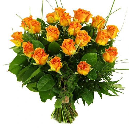 20 Orange/salmon pink (20 Orange/salmon pink with foliage)