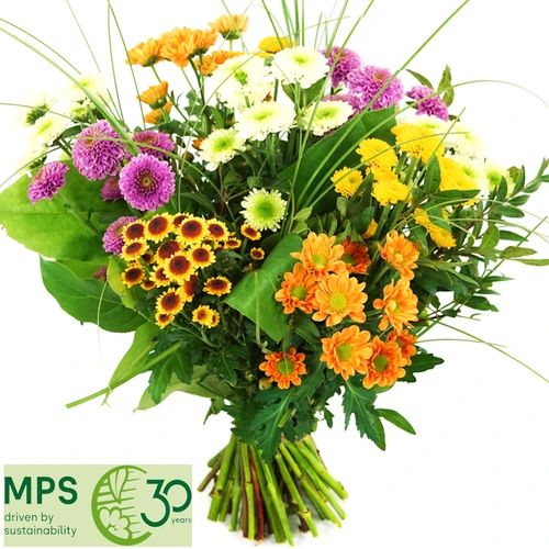 Mixed Santini bouquet (Santini mixed bouquet small)