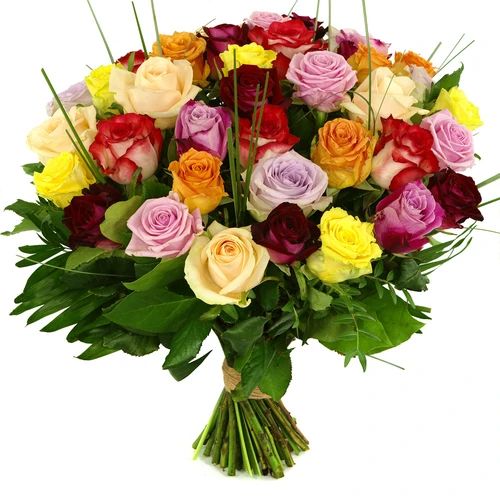 Mixed rosemary super (Mixed pink box 20 pieces included sheet material)
