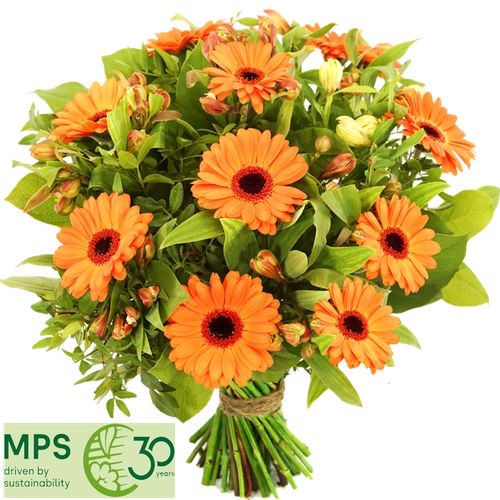 Advantage bouquet of orange shades (Advantage bouquet small orange shades)