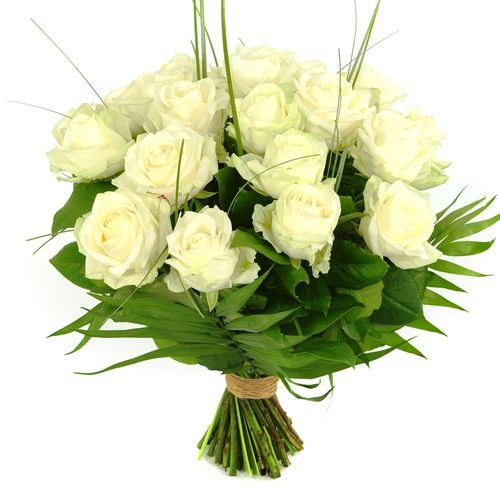 20 White roses (20 White rose with leaf material)