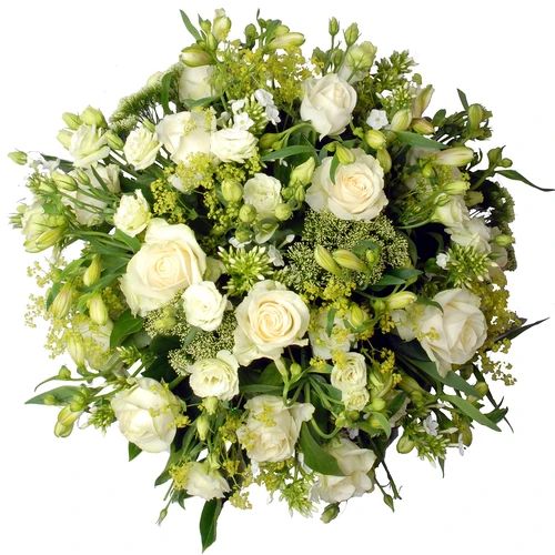 Round white and green funeral arrangement (White mourning Biedermeier approx 45 cm with white roses among others)