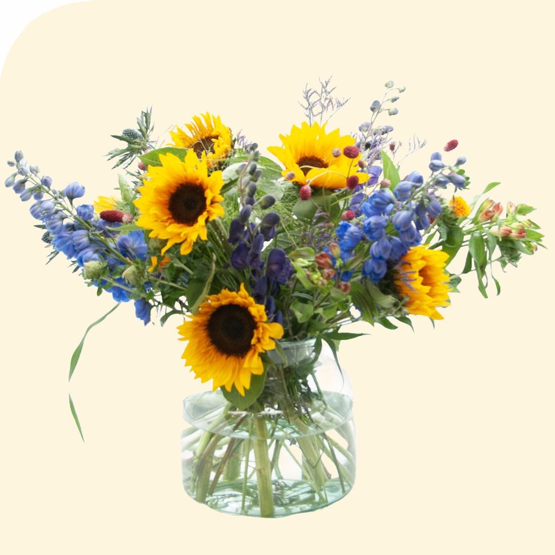 Sunshine mix (Standard (S))