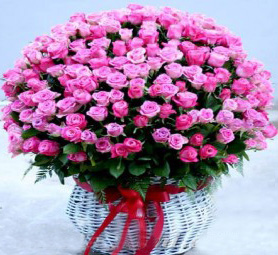 Pink Dream