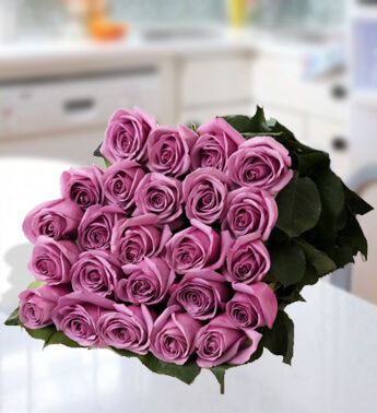 Glorious Purple (24 Purple Roses)