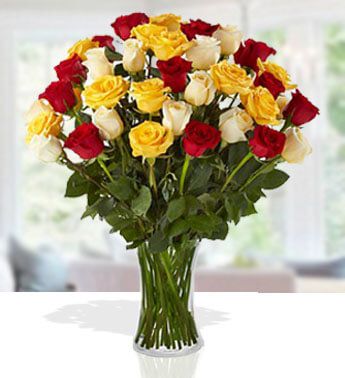 Sensational Color (12 Red , 12 Yellow And  12 White Roses)