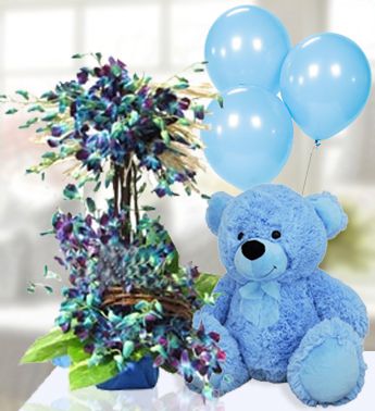 Blooms For Baby Boy