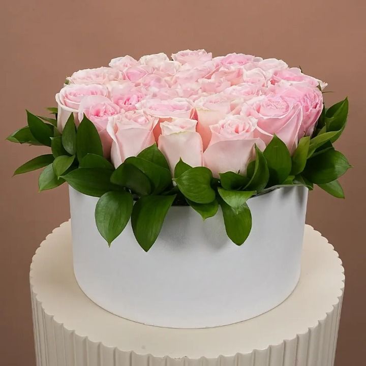 Blush Pink Roses in Box (Classic)