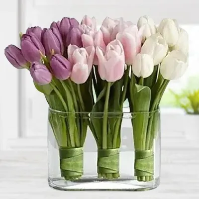 Tulips In A Vase (Classic)