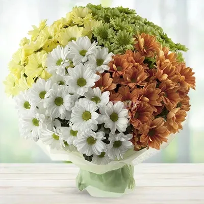 Amazing Daisies (Classic)