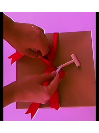 SURPRISE BOX