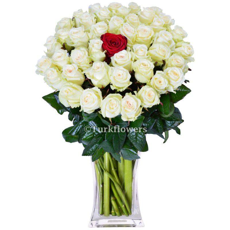 50 White Roses + 1 Red roses