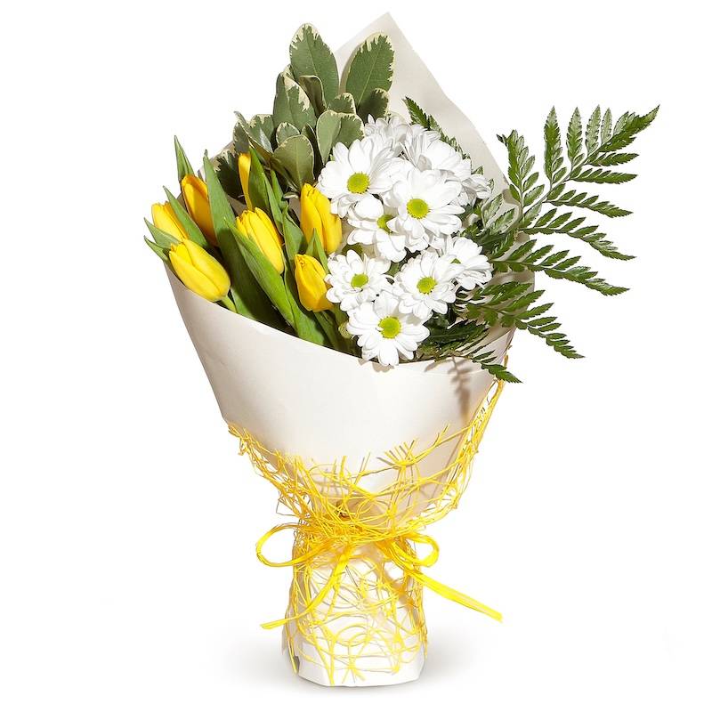 Tulips and Daisy