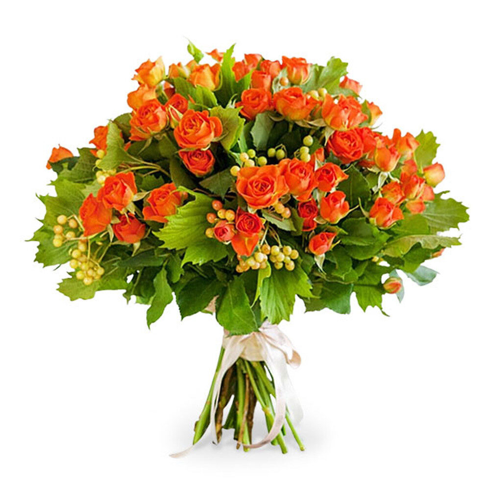 12 Spray Orange Roses