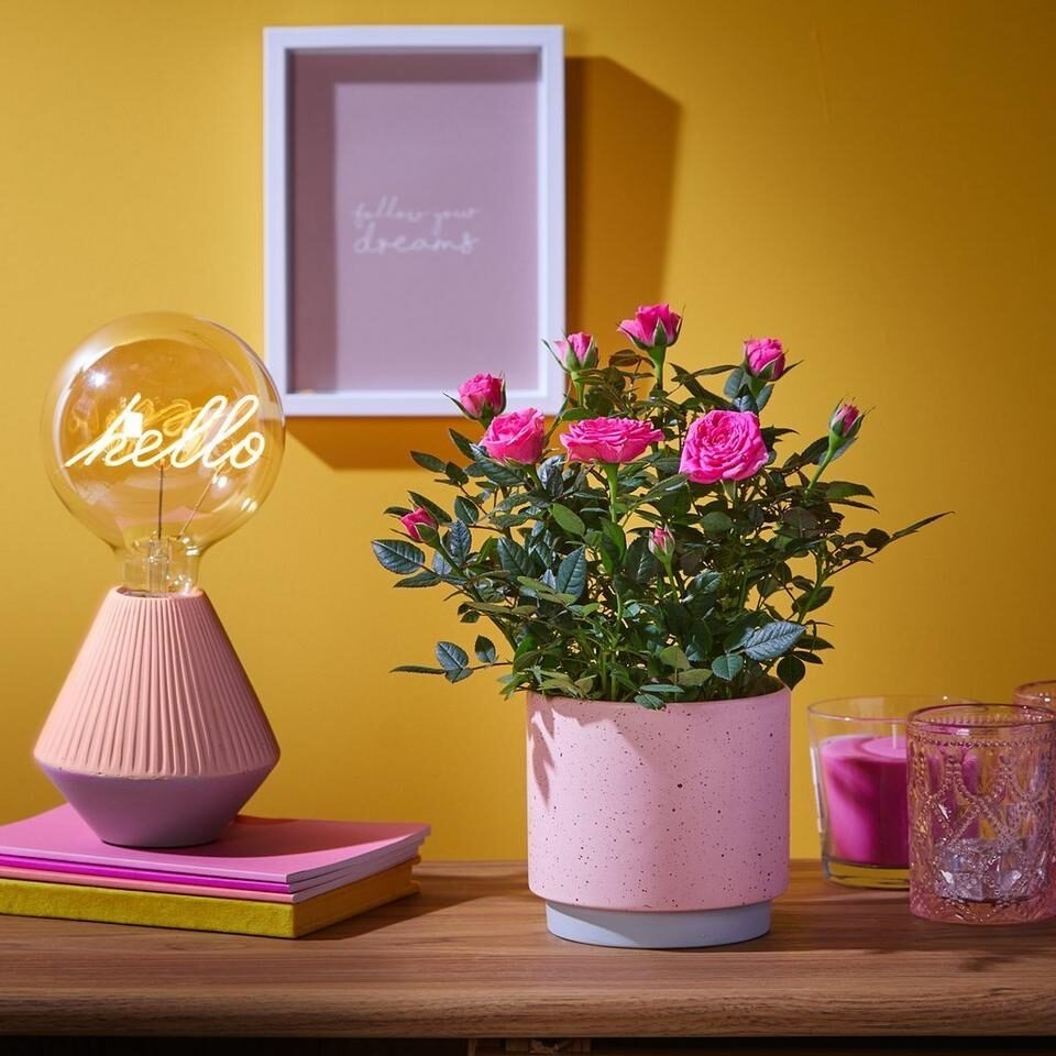 Pink Rose Ceramic
