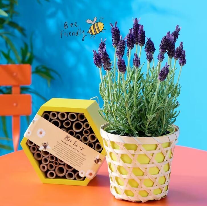 Lavender Bee Bundle