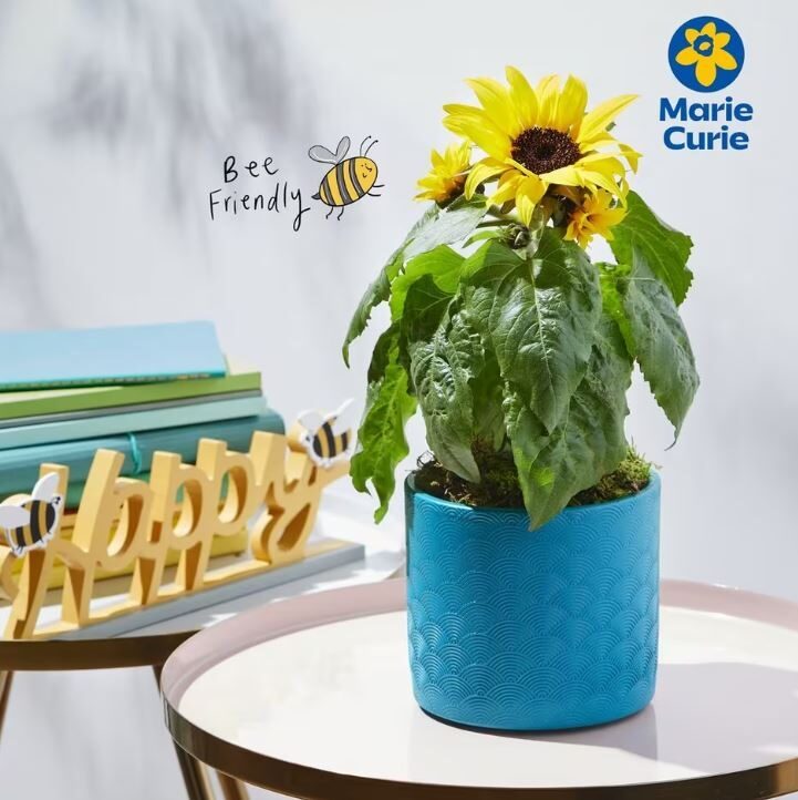 Sunflower Joy