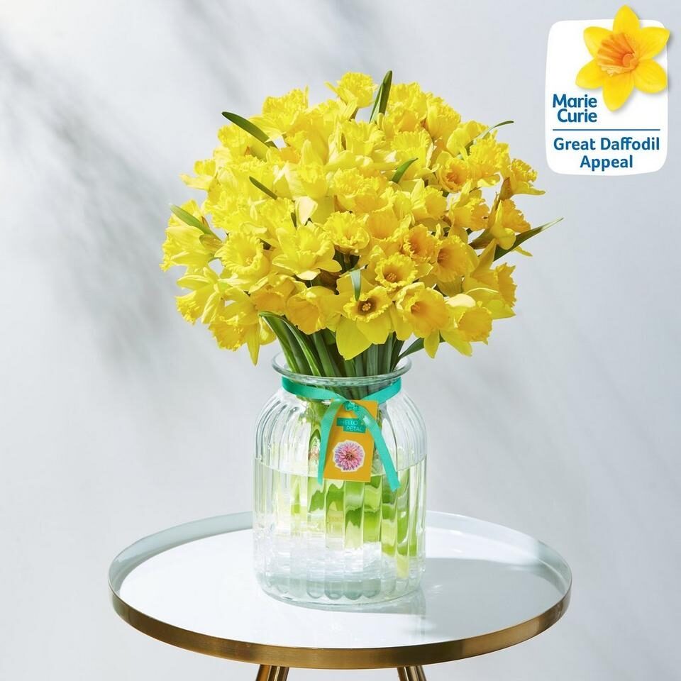 Spring Daffodil Vase