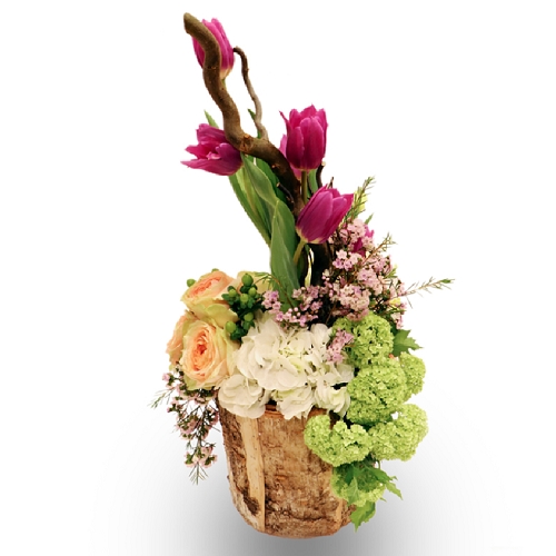 Bloomerang Flowers