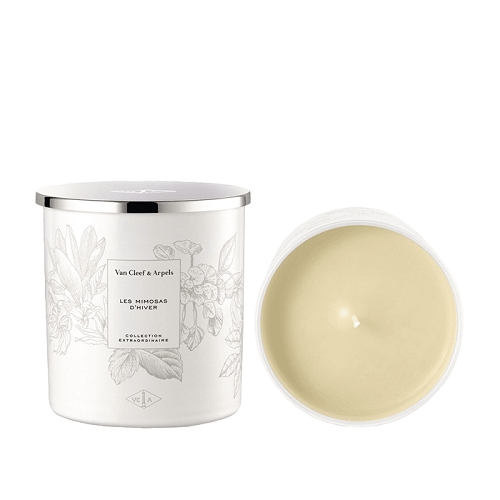 LES MIMOSAS d'HIVER CANDLE