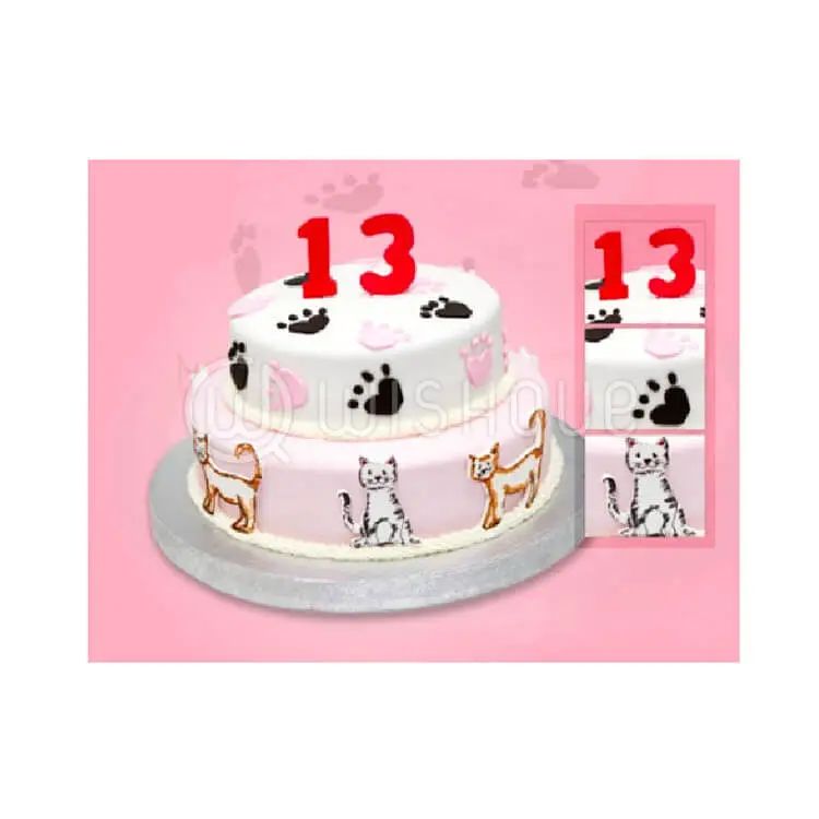 13th Birthday Kitty Design Cake