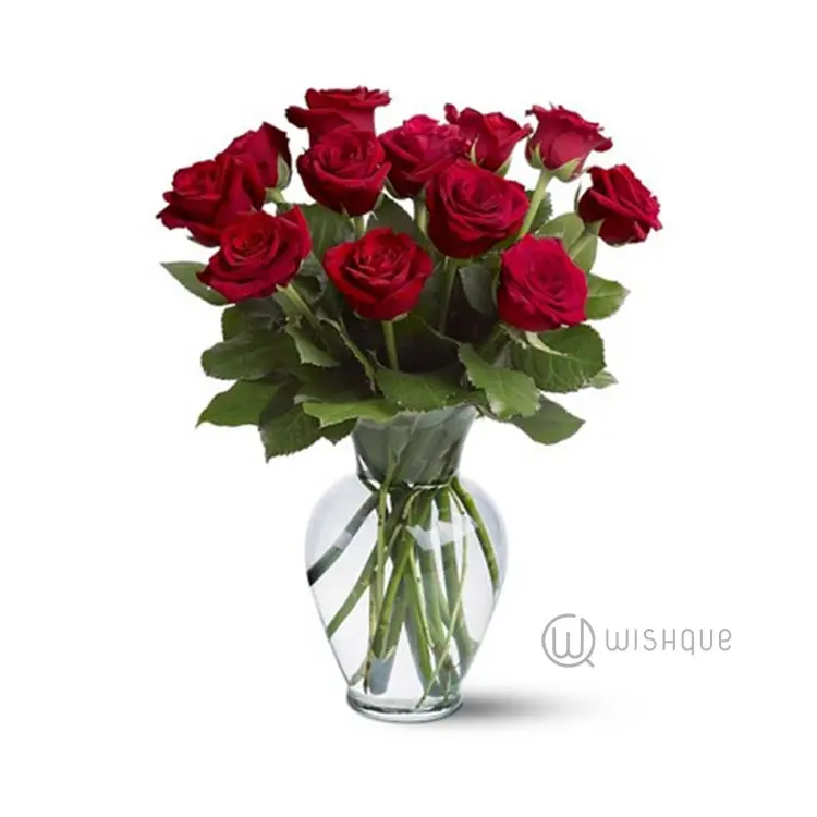 12 Red Roses