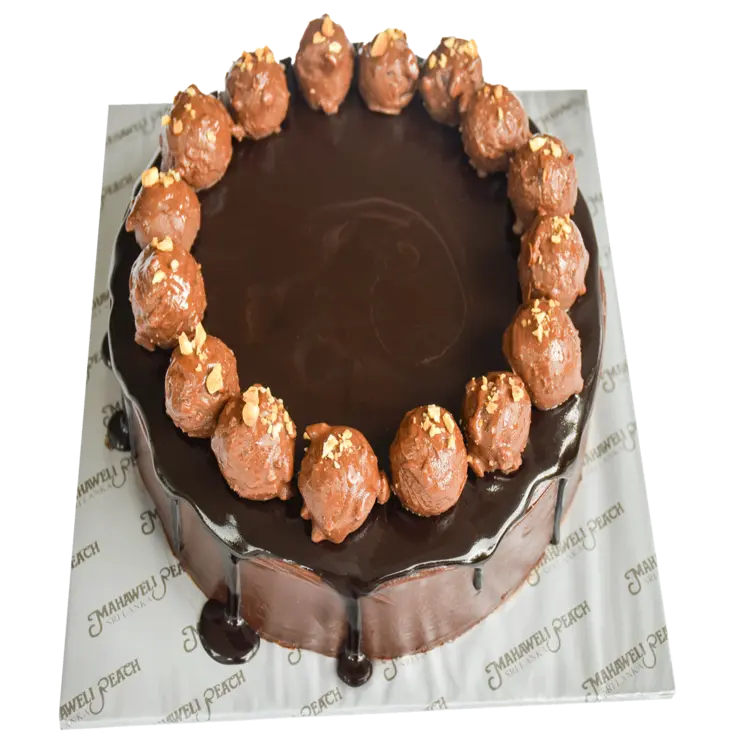 Choco Fudge Truffle Cake