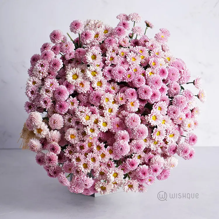 Lilac Daisy Chrysanths Extra Large Bouquet