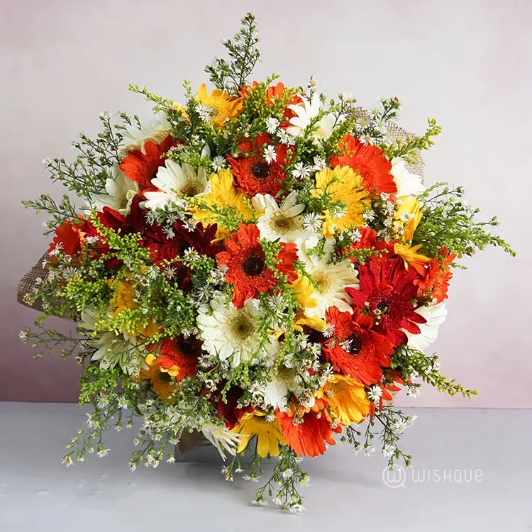 Gerbera Extra Large Bouquet