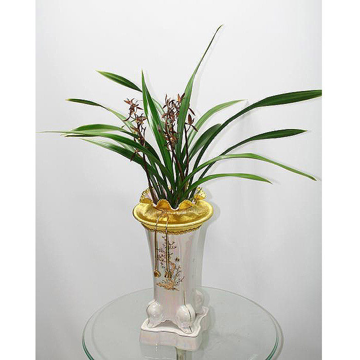 Orchid-Bosae