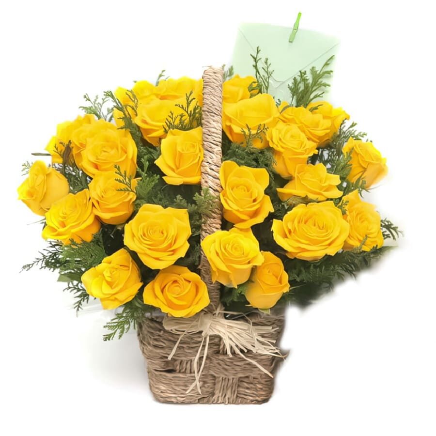 Song of Spring (Standard)