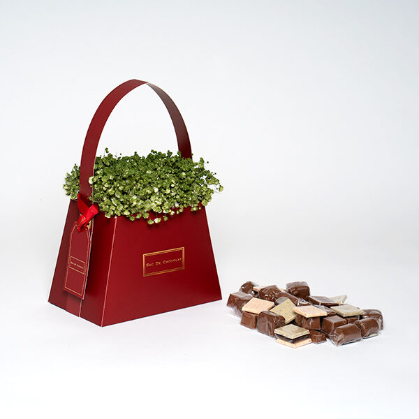 Red Bag 1