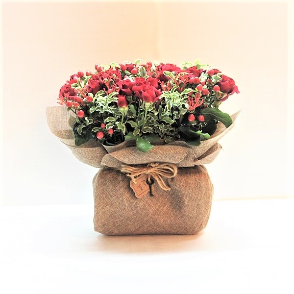 Autumn Love 1