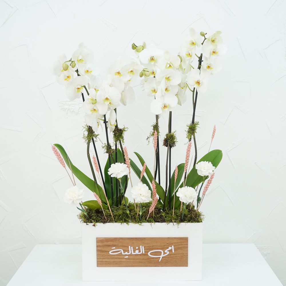 White White 7