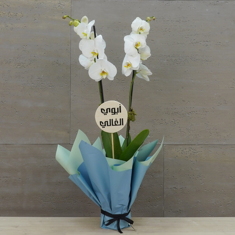 Blue Orchid