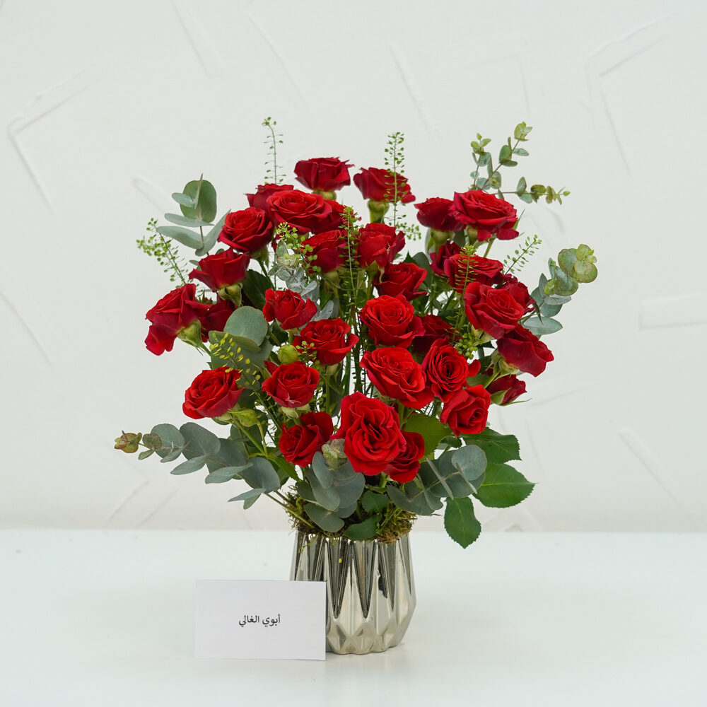 Red Vela 2