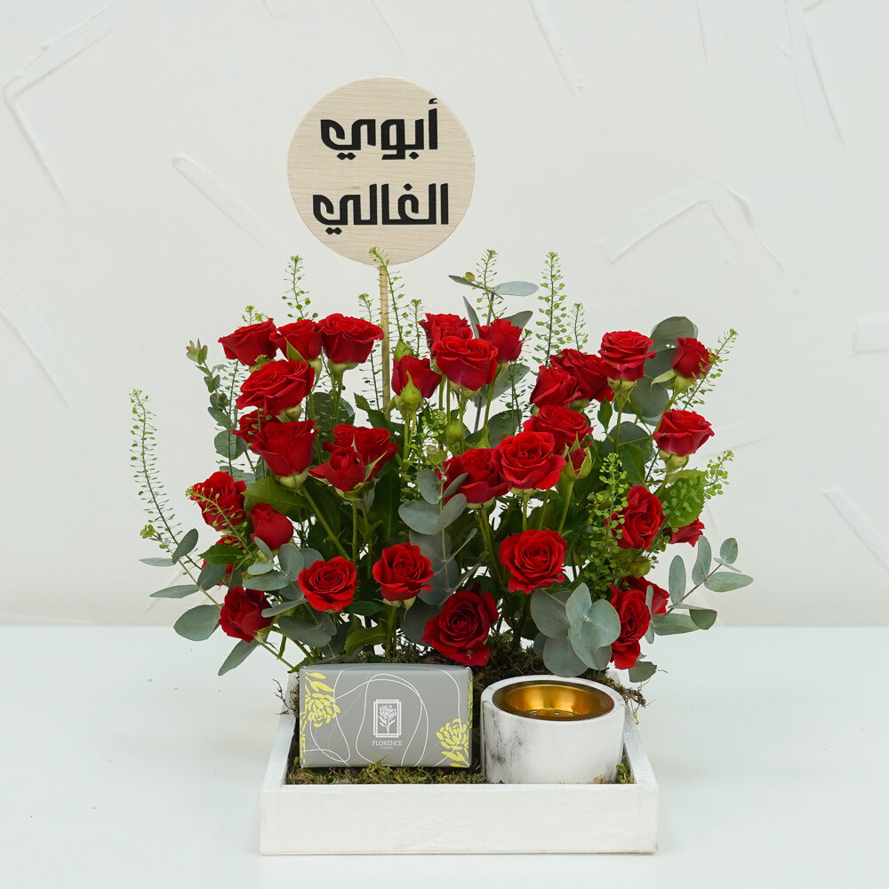 Red Vela 3