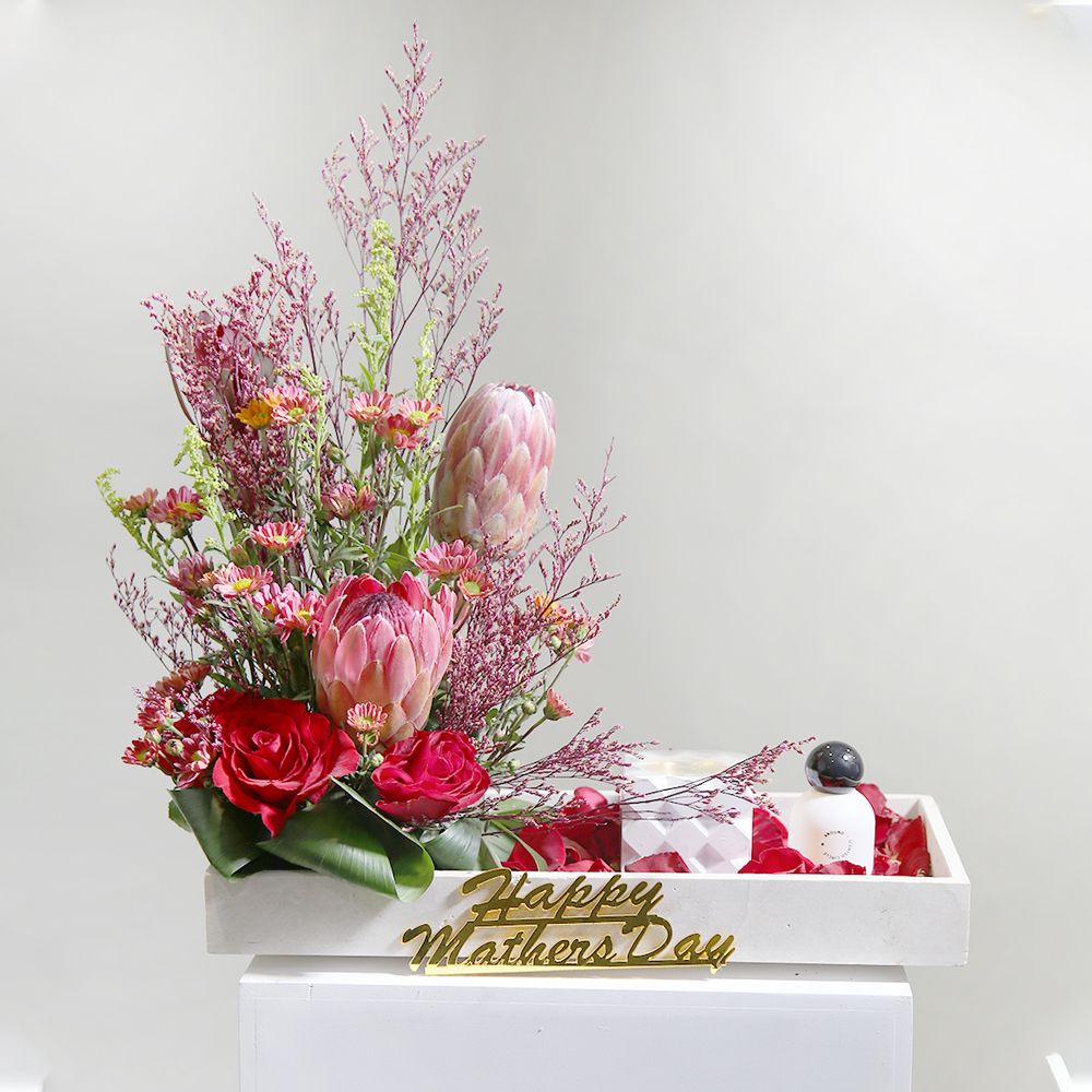 Red Tray 2