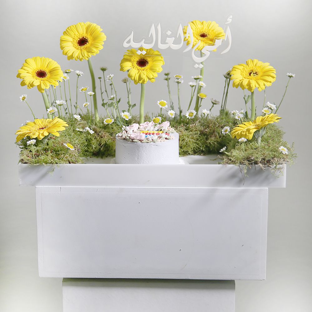 White Tray