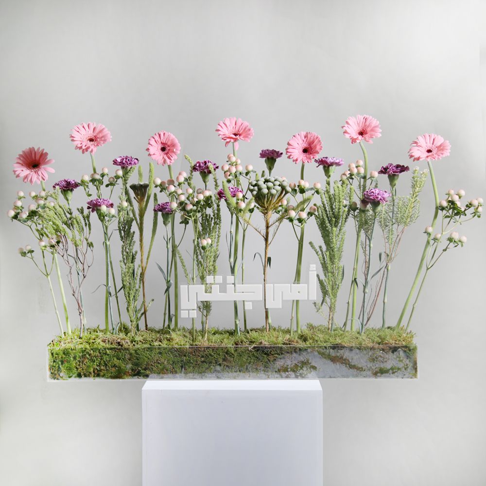 My Paradise