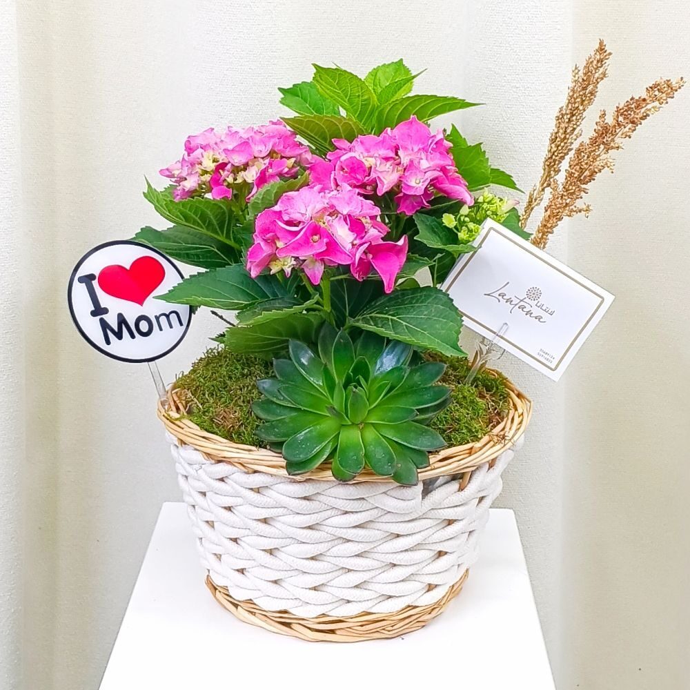 Mother's Day 4