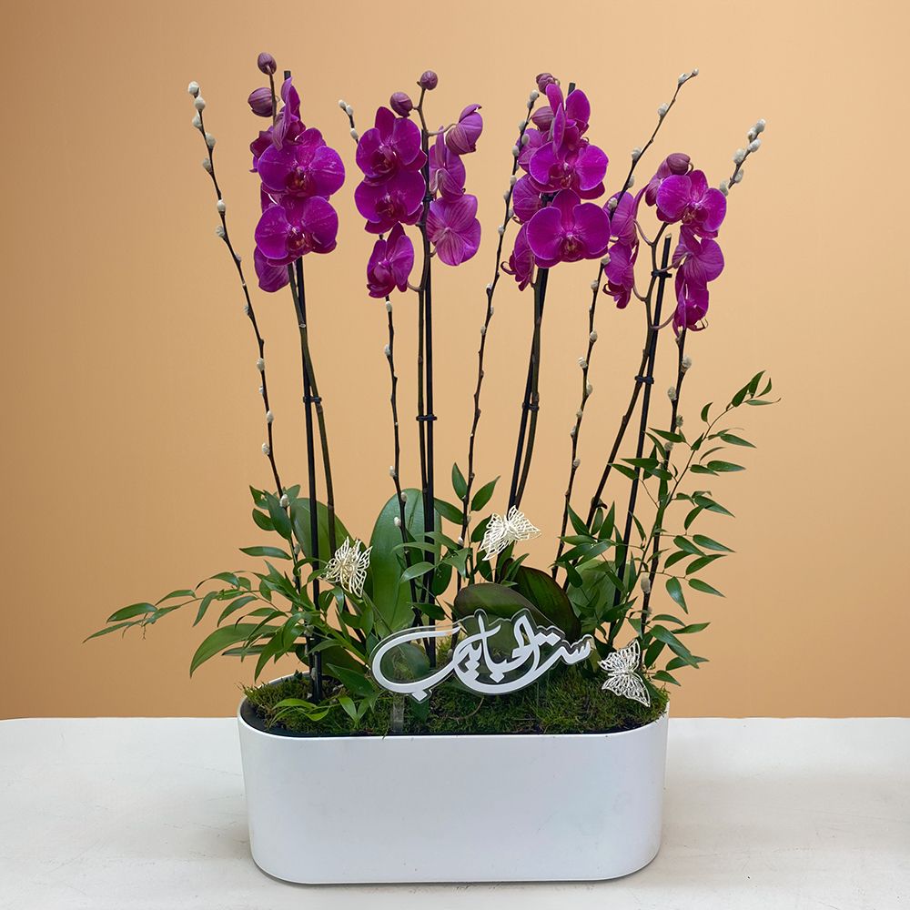 Beautiful Purple