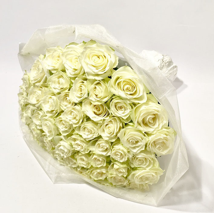 White roses in exlusive package (Classic)